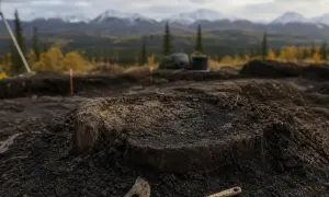 Польша готовится к новой волне беженцев из Украины: ждут до 800 тысяч человек