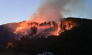 Фото: в Харькове вооруженный злоумышленник ограбил обменник на полтора миллиона