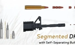 У США знайшли жінку, яка зникла понад 24 роки тому — The Guardian