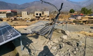 Партія «Зелені» тисне на уряд Мерца через можливі зв’язки Німеччини з Епштейном