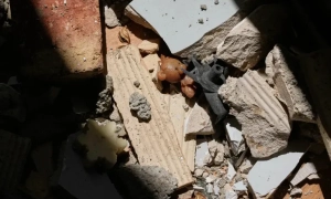 Німеччина планує відкрити новий військово-морський порт