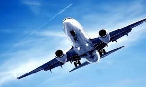 Трамп объявил о встрече с Лукашенко на заседании Совета мира