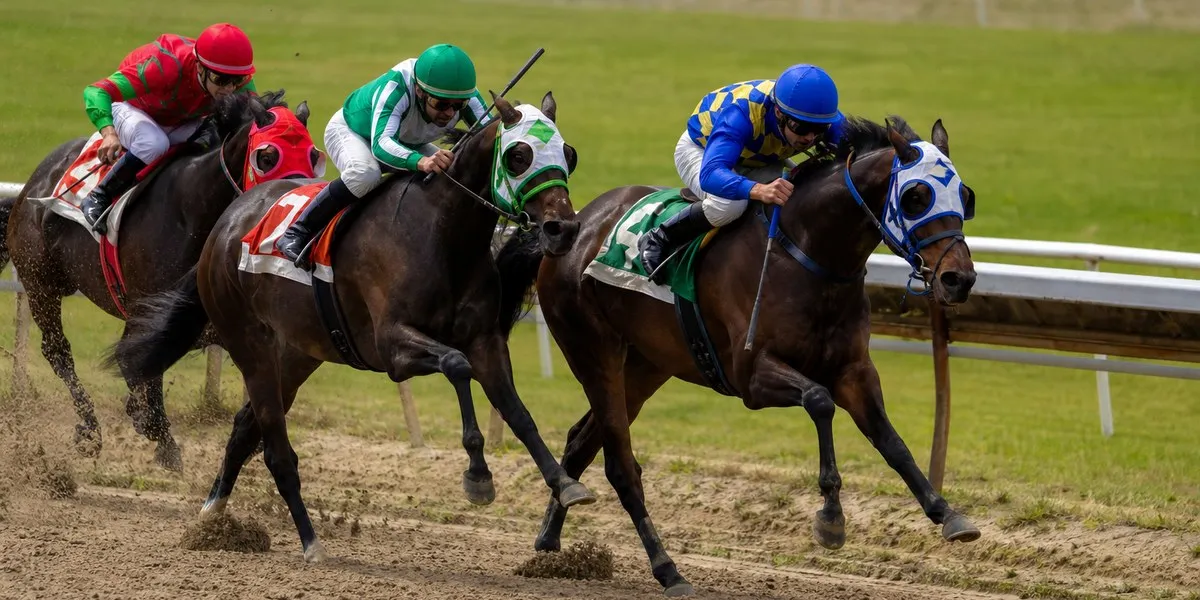 Arapaho Gold захищатиме безпрограшну серію у Mill Reef — Sky Sports News