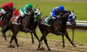 Arapaho Gold захищатиме безпрограшну серію у Mill Reef — Sky Sports News