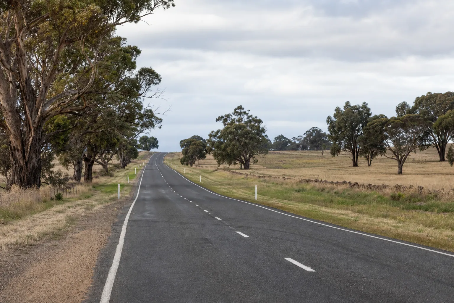 Driver in Australia pleads guilty to fatal crash