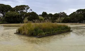 海湾合作委员会秘书长谴责袭击沙特输油管道