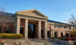 Видео: в США пьяный водитель въехал в толпу людей