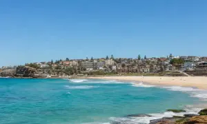 В ЮАР акула убила 65-летнюю женщину на пляже Orient Beach — Interia