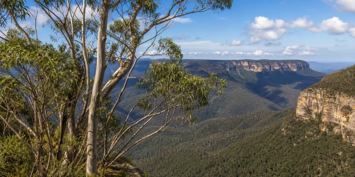 Australian court: woman not criminally responsible — ABC News Australia
