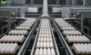 Госбанкам запретят продавать проблемные активы по низкой цене