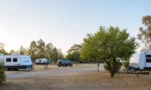 Австралиец проведёт 5 месяцев в тюрьме за наезд на партнёршу — ABC News Australia