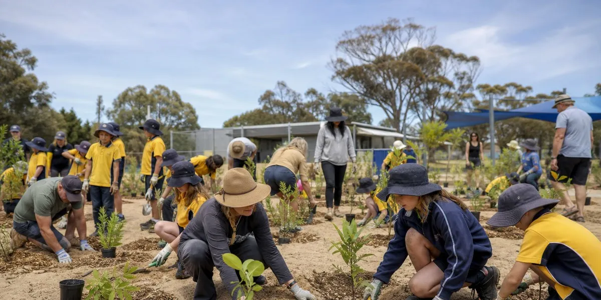 Schoolchildren in Australia plant 1,000 plants for microforest — ABC News Australia