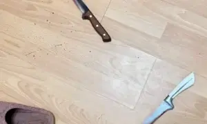 Fedorov found a job the day before he received the reservation