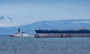 Фото: врятований в Естонії пес виявився вовком