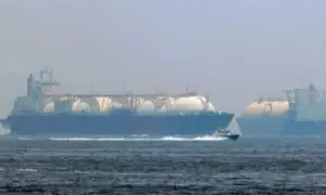 Зеленський та Мерц обговорили наступні кроки для просування України в ЄС