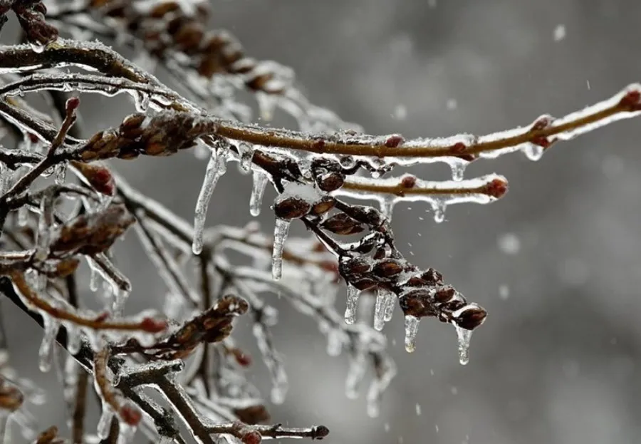 Школи й садки Одеської області перевели онлайн через наближення стихії