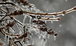 Уряд може скасувати жовтий сигнал світлофора