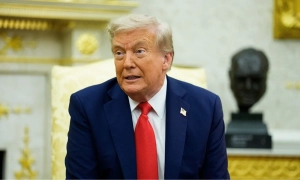 Різдво на гребені хвилі: як Гонолулу замінило оленів на дельфінів, а ялинки — на пальми