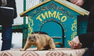 На Сумщині затримали агента ФСБ, який шпигував за ЗСУ на північному кордоні з росією