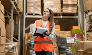 На Прикарпатті жінка хотіла продати новонародженого сина за $20 тисяч