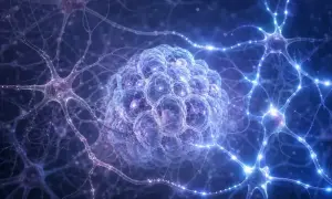 Женщины сообщили о более сильных отдельных эффектах психоделиков — ScienceAlert
