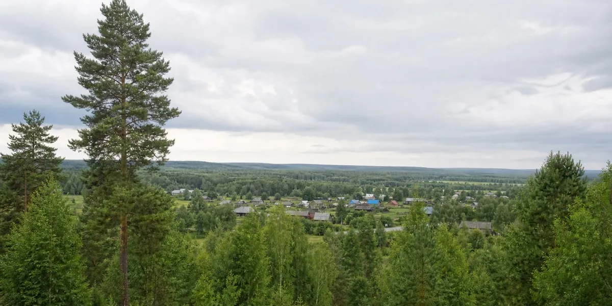 В Красноярском крае медведь убил седьмого человека за месяц — Asharq Al-Awsat