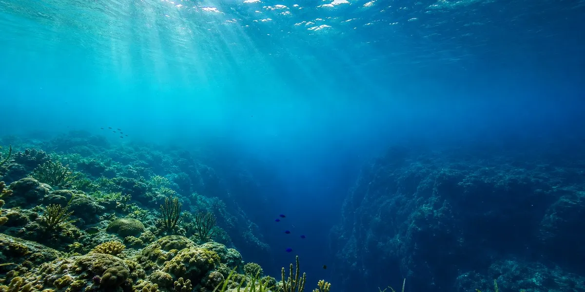 伯利兹拟设立三处海洋保护区，以保护30%的海洋水域——Mongabay