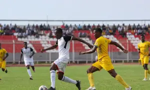 «Эдинбург» обыграл «Лайонс» 31:10 благодаря двум попыткам Паттерсона — BBC Sport