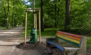 В Австралії вийшов документальний фільм про кораблетрощу Geltwood 1876 року