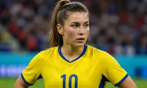 «Фенербахче» зіграв унічию з «Ліоном» у плей-оф Ліги чемпіонів