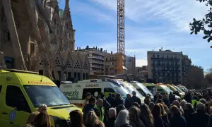 Во Франции умерла самая пожилая в мире собака через несколько недель после смерти своей хозяйки — France 24