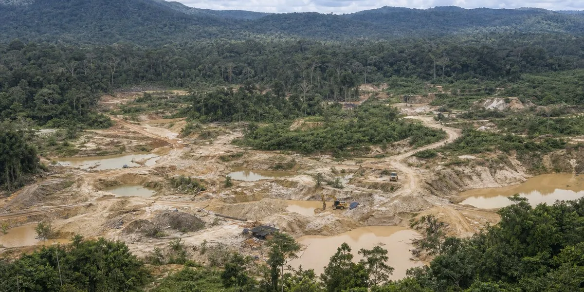 Brazylijski sąd przyjął zarzuty przeciwko White Solder — Mongabay