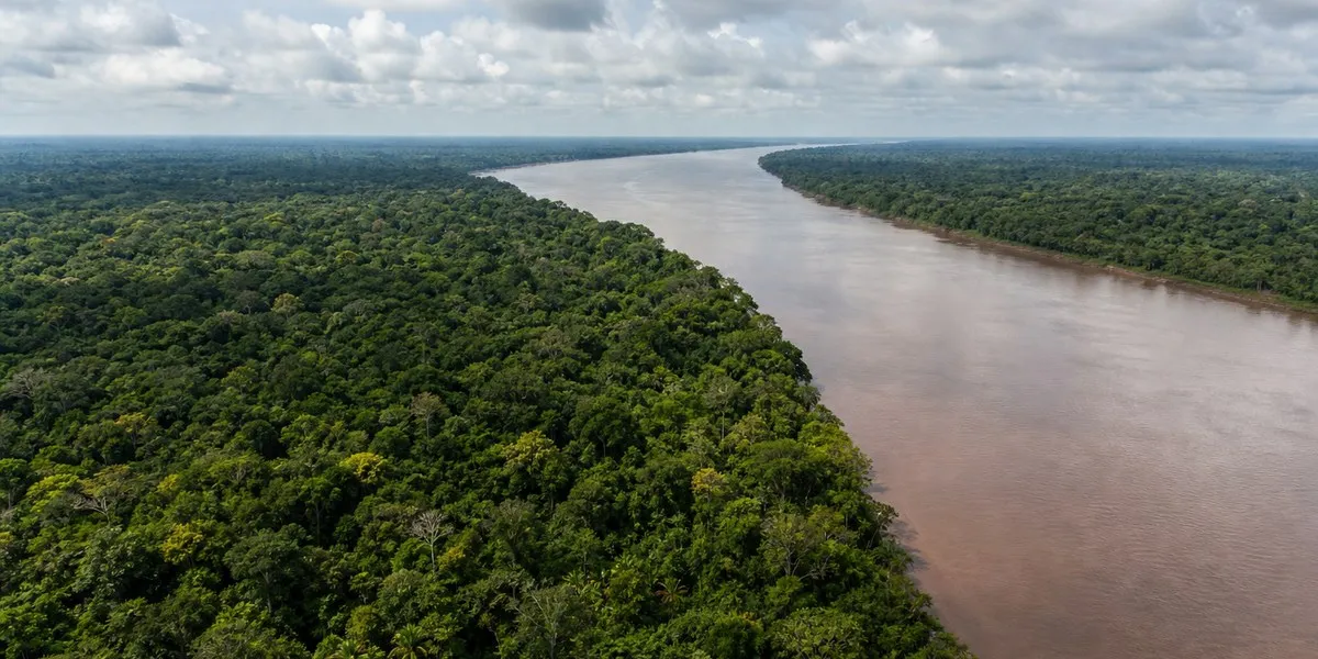 巴西选举或危及亚马孙保护——Mongabay