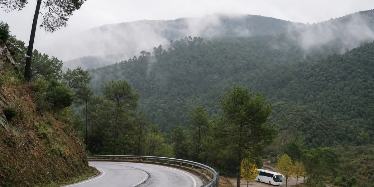 83 people injured in bus crash near Barcelona — The Hindu