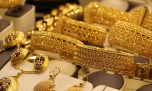 Ювелірний бізнес на Прикарпатті оштрафували на понад 17 мільйонів за податкові порушення