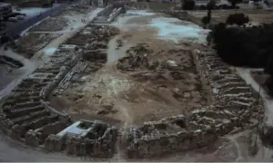 На Ямайці дайвери відновлюють корали за допомогою підводних динаміків — The Guardian