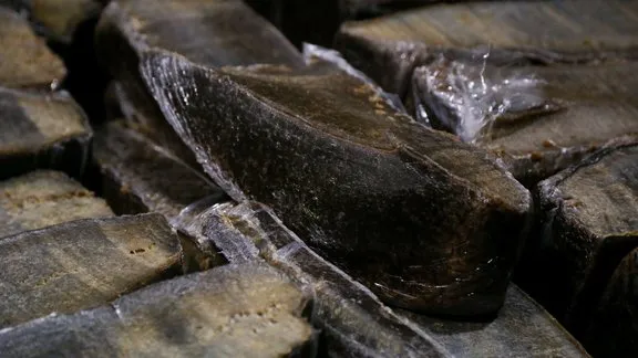 Латвія перевірить експорт природного каучуку до рф для запровадження санкцій