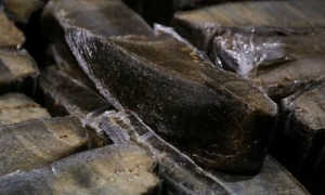 Європа та США не повинні дозволити росії заморозити війну в Україні