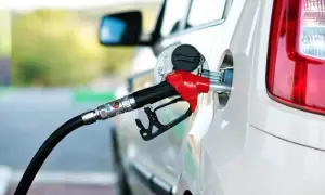 В Украине стартует рынок земли: Шмыгаль рассказал, что изменится