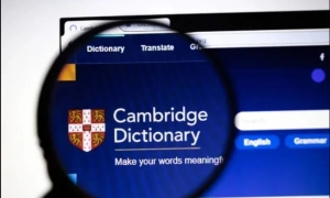 У Молдові викрили сотні випадків підкупу виборців