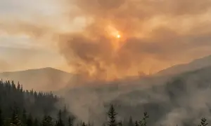 痴呆症首次导致澳大利亚超过10%的死亡——《卫报》