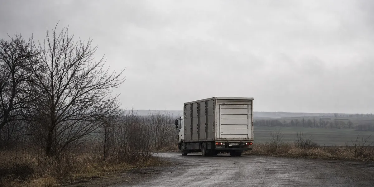 Канадский спасатель животных Джесси Адамс погиб в Украине — Global News Canada