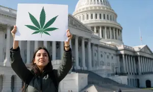 Cannabis reform is becoming a campaign issue in the U.S.