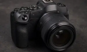 Британські вчені виявили дивну особливість досвідчених кошатників