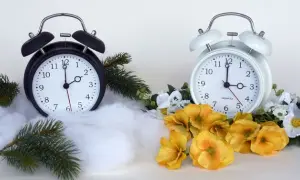 Укрпошта відкрила понад 3 тисячі нових вакансій