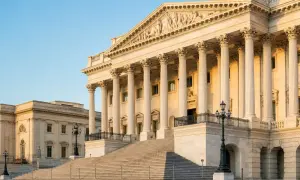 一名“One Nation”的员工被指控冒充某进步派网站的代表