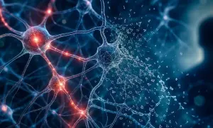 U dużych psów zmiany epigenetyczne kumulują się szybciej — Nature