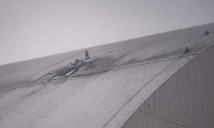 Сонячно та до +18: прогноз погоди в Україні на 12 березня