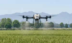 W Chinach naliczono ponad 300 tys. dronów rolniczych — ECNS