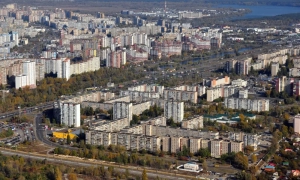 Кабмін затвердив перелік небезпечних порід собак, їх треба страхувати